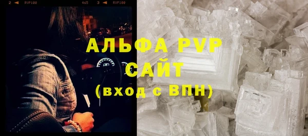 трава Аркадак